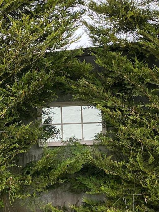 Breathnach Cottage Annex Knockleagha Ballina F26 D7E2 Exterior photo